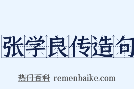 张学良传造句是什么意思的图片